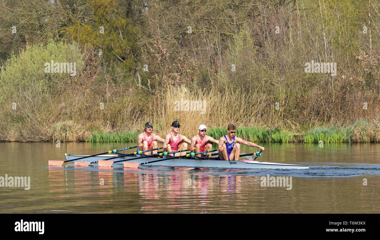 Male rowing team. Rowing is a nonweight bearing sports that exercises major muscle groups like