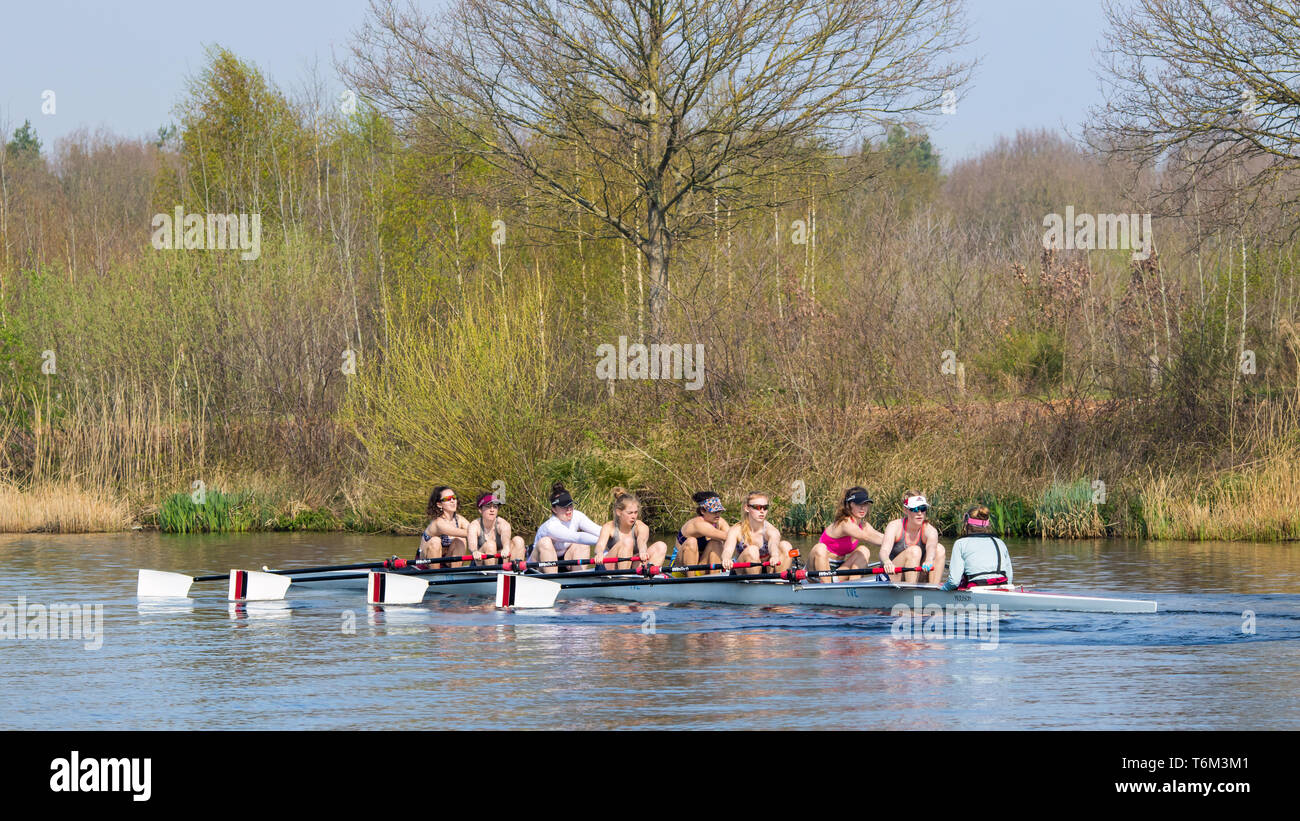 BRABANT-APRIL 7, 2019. Female rowers in a canal. Rowing is one of the ...