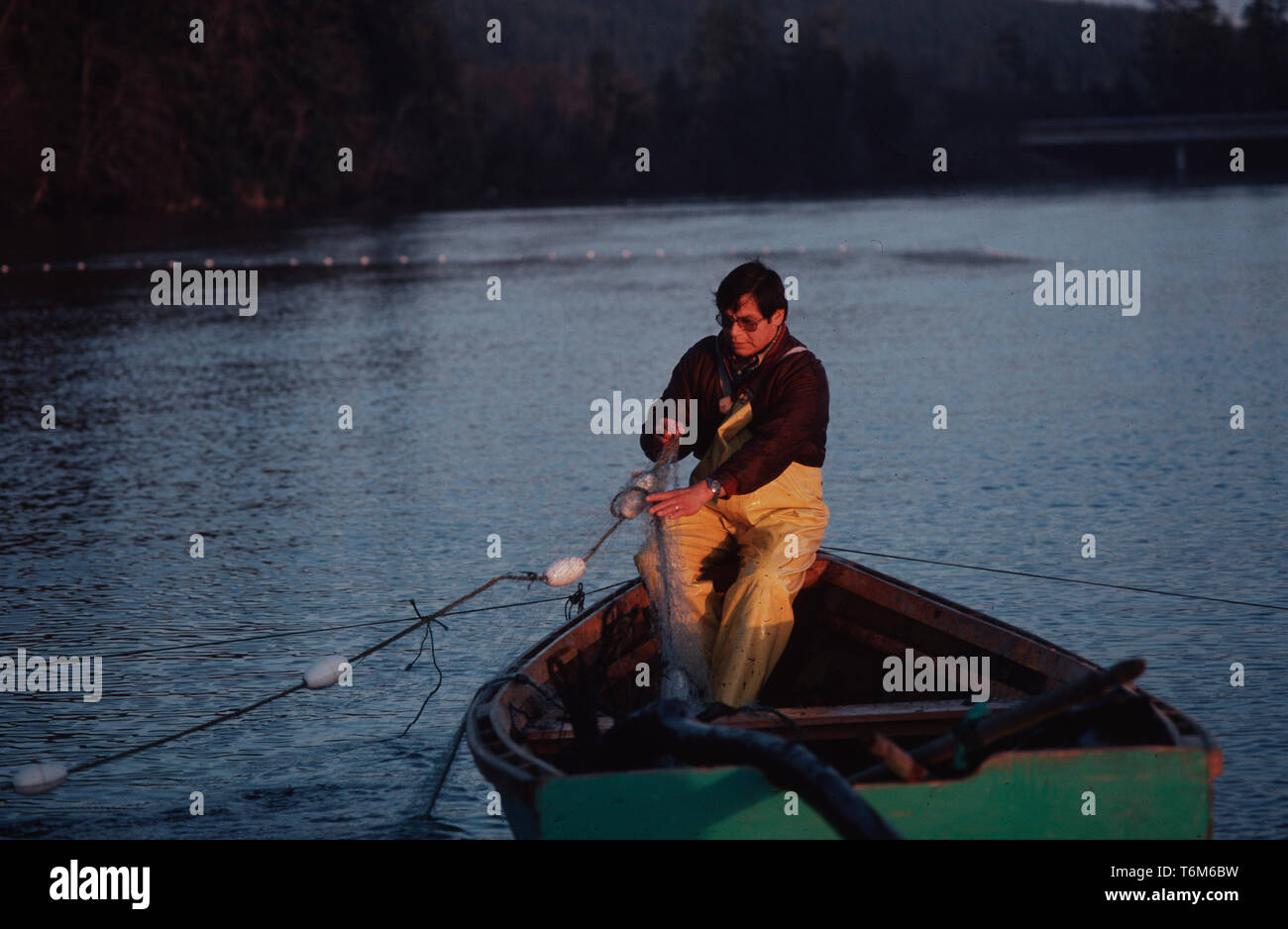 Native American Fisherman Pulling Net Stock Photo