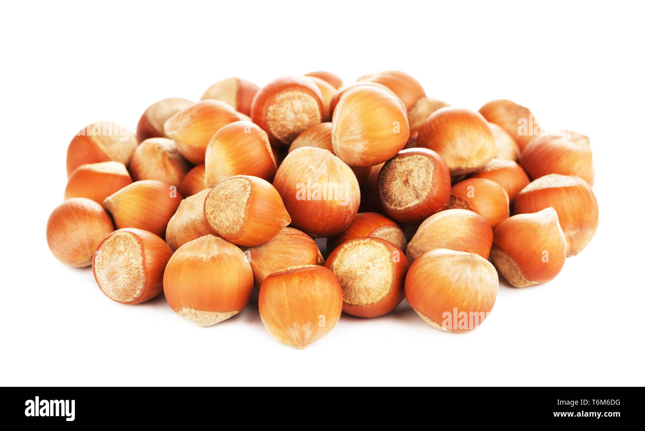 Hazelnut in shell hires stock photography and images Alamy