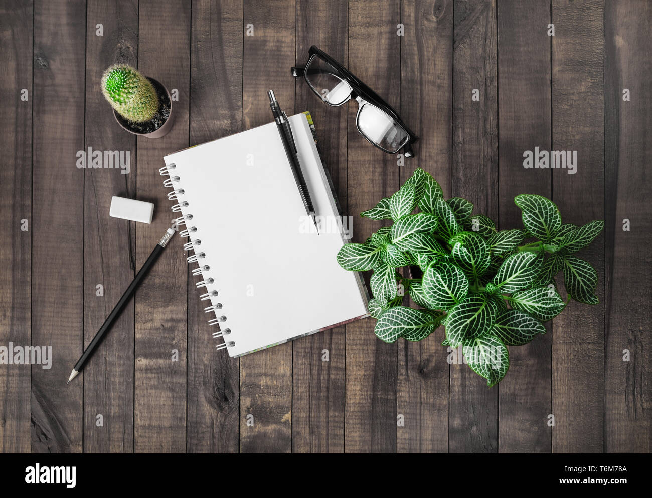 Stationery and plants Stock Photo - Alamy