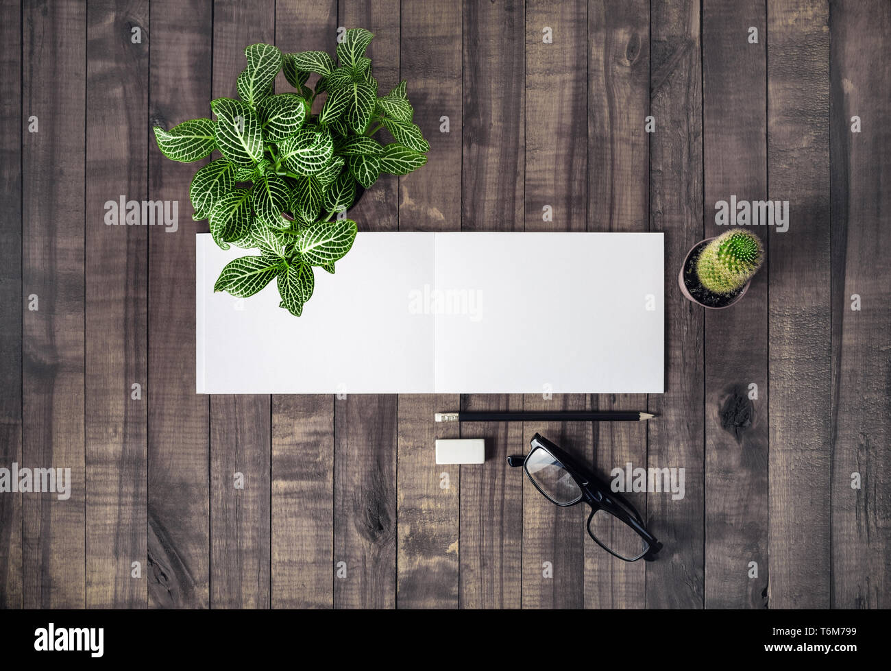 Stationery, brochure, plants Stock Photo - Alamy