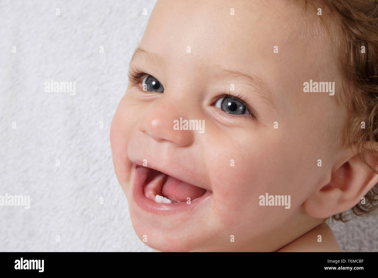 Bottom teeth hires stock photography and images Alamy