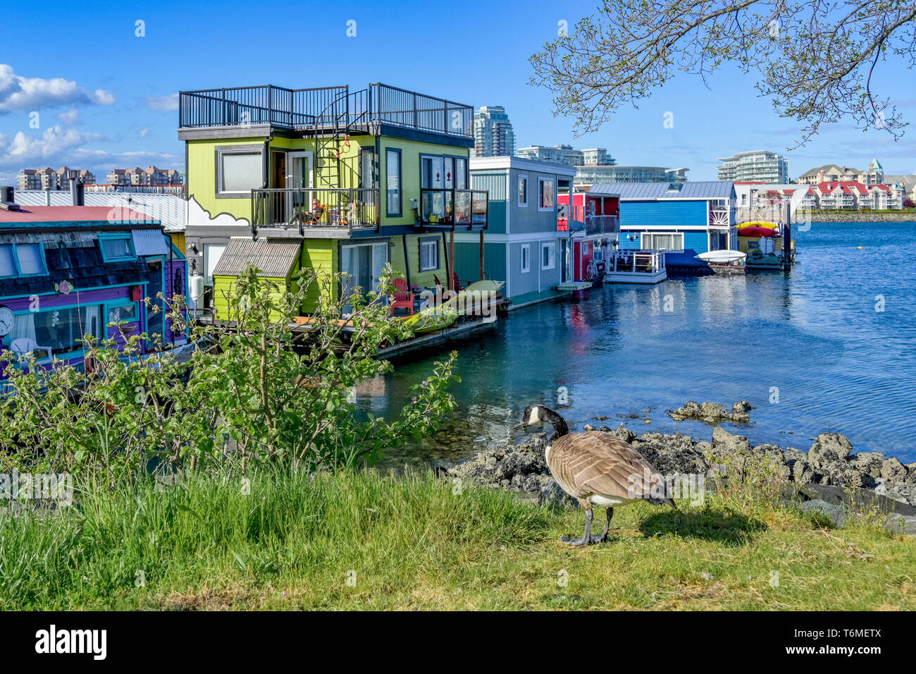 Floating village fishermans wharf victoria british columbia canada hi
