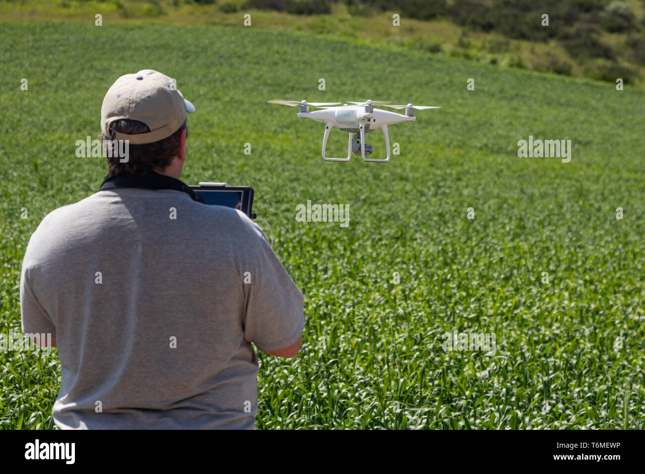 UAV Drone Pilot Flying and Gathering Data Over Country Farm Land. Stock Photo