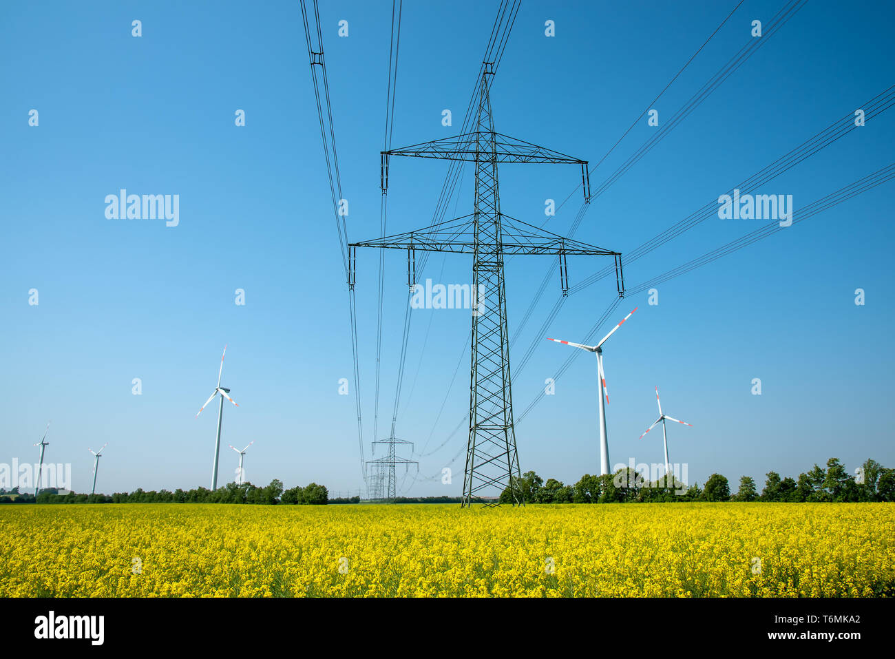 Power transmission lines in a field of blooming oilseed rape seen in rural Germany Stock Photo