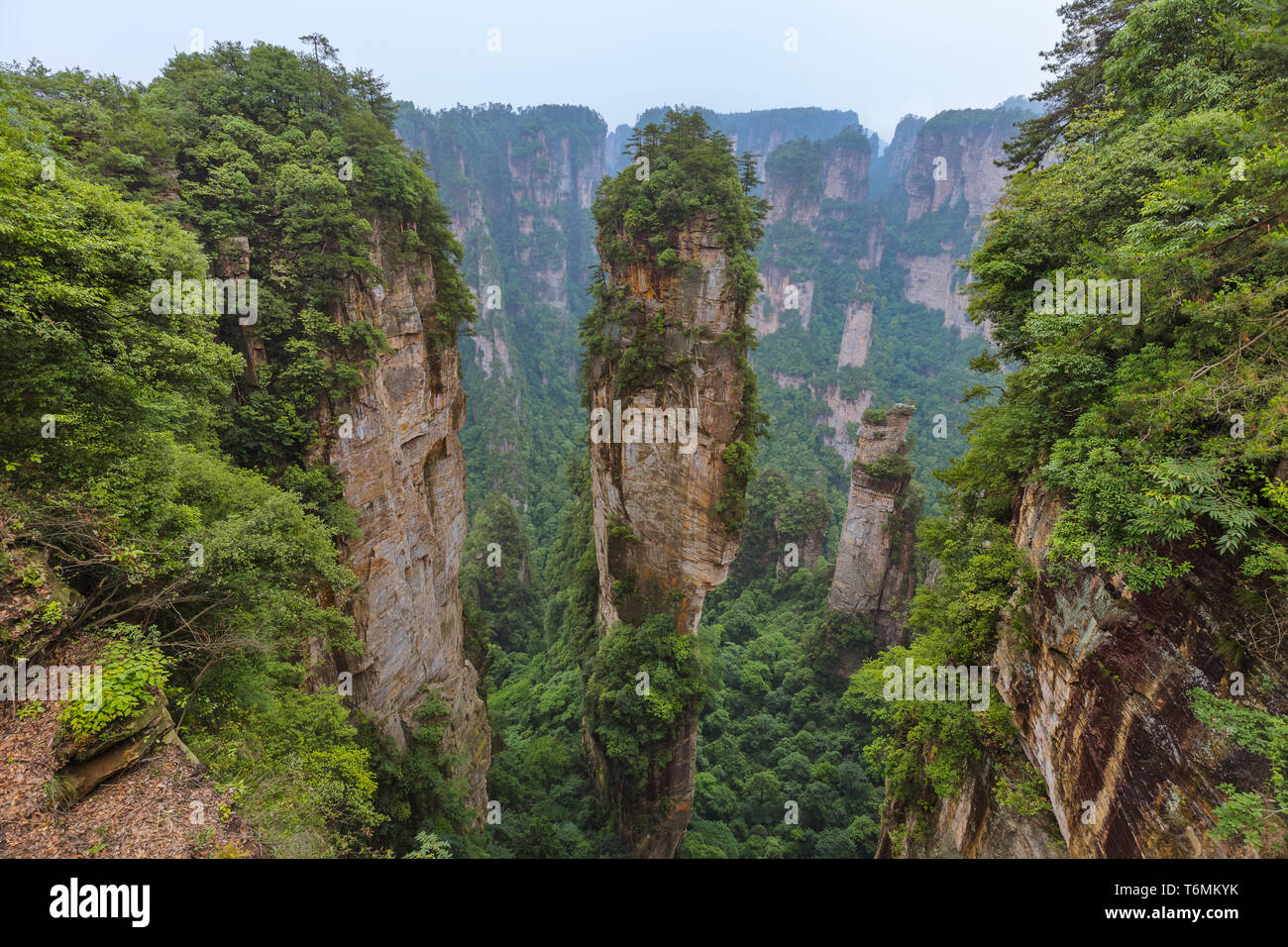 Tianzi Avatar mountains nature park - Wulingyuan China Stock Photo - Alamy