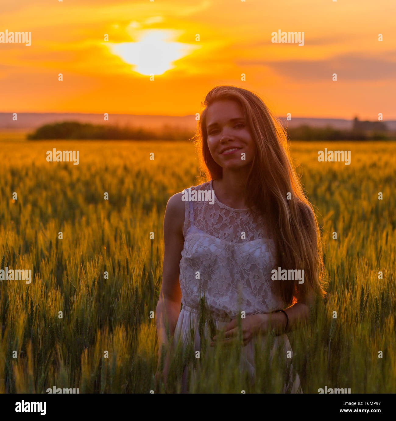 Pretty girl in field at sunset Stock Photo - Alamy