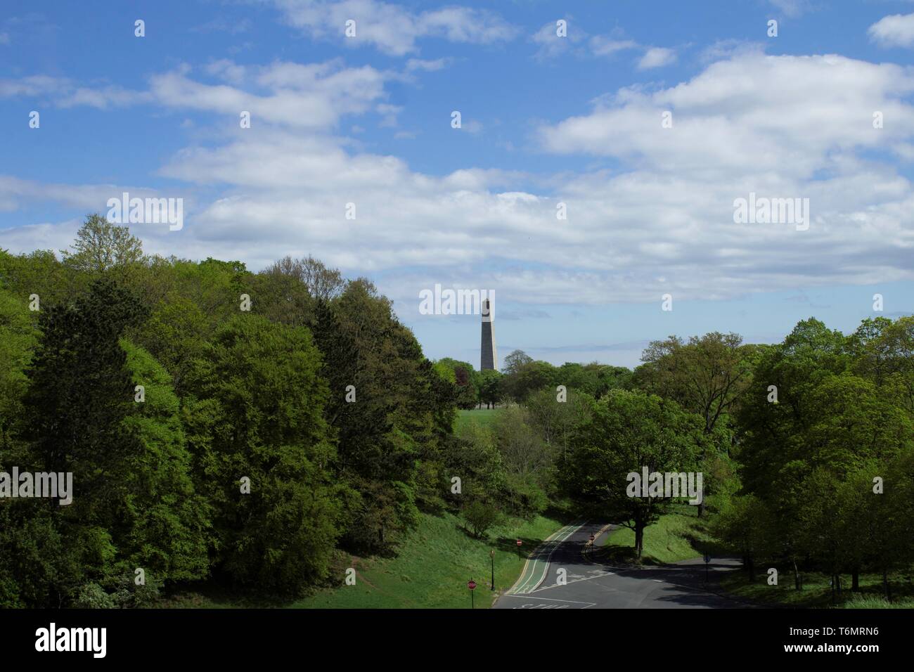 The Phoenix Park in Dublin, Ireland  with the 62 metre Wellington Monument in the background. Stock Photo