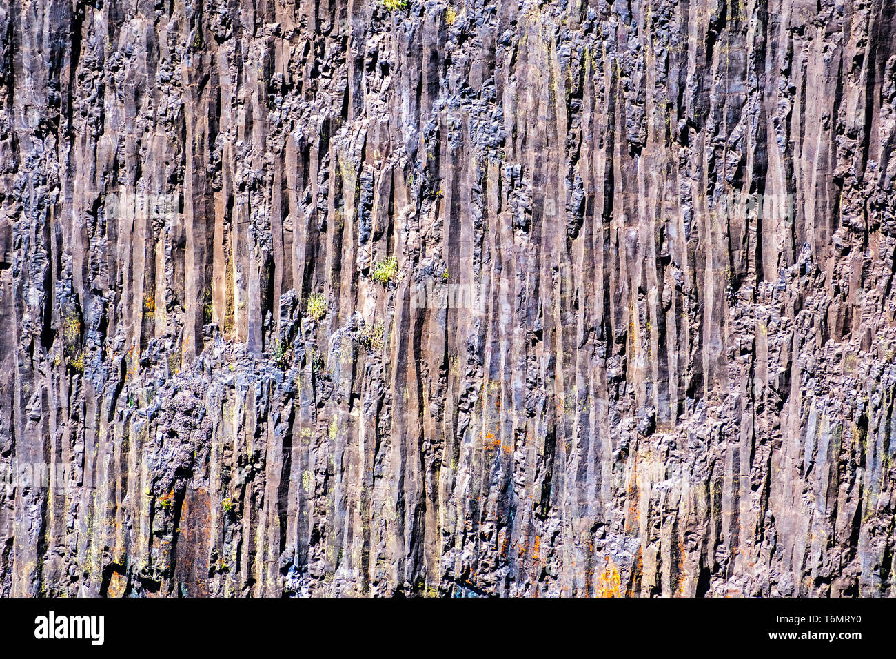 Basalt Wall with a vertical pillars texture, North Table Ecological