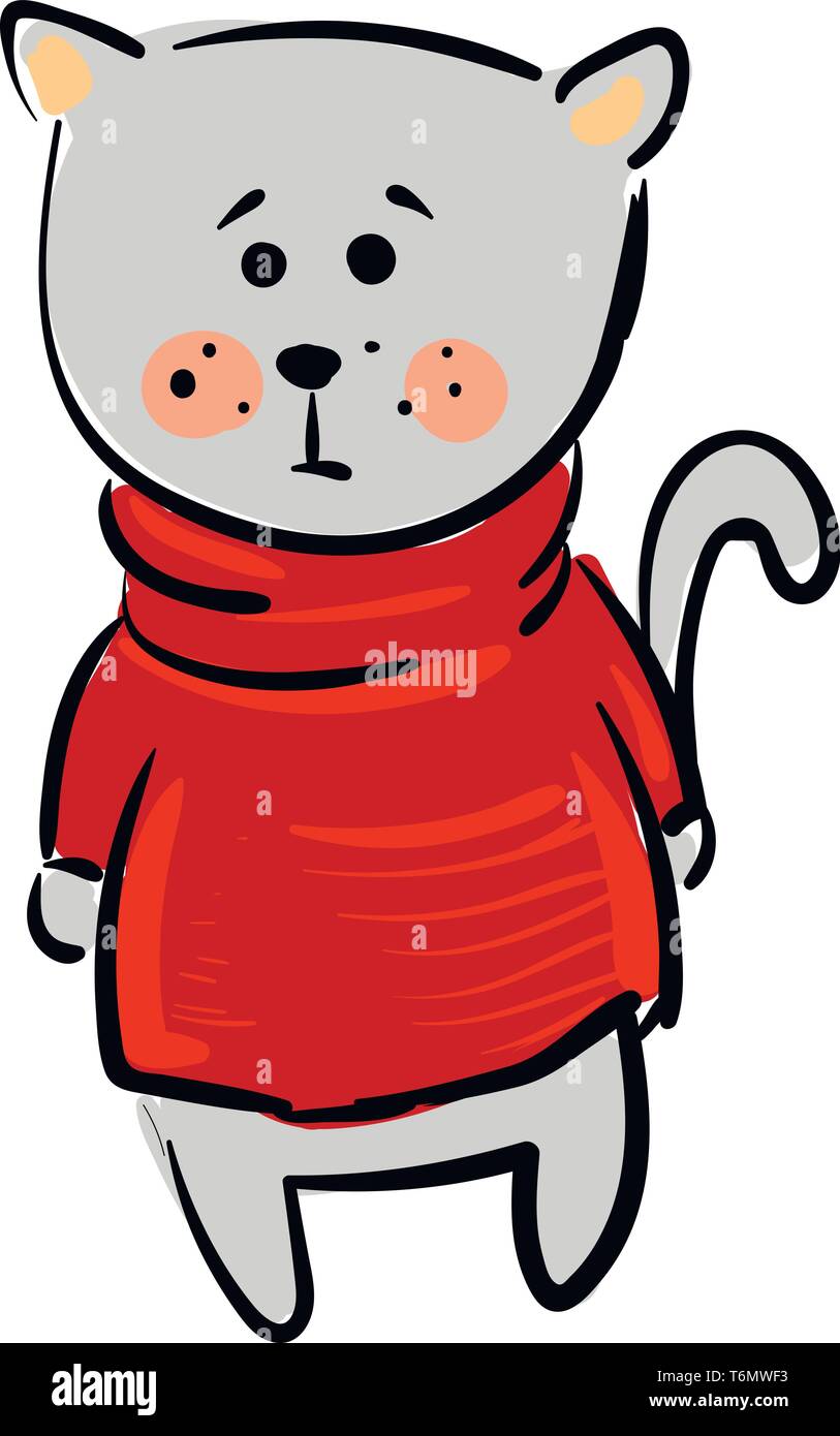 Cat wearing sweater hires stock photography and images Alamy