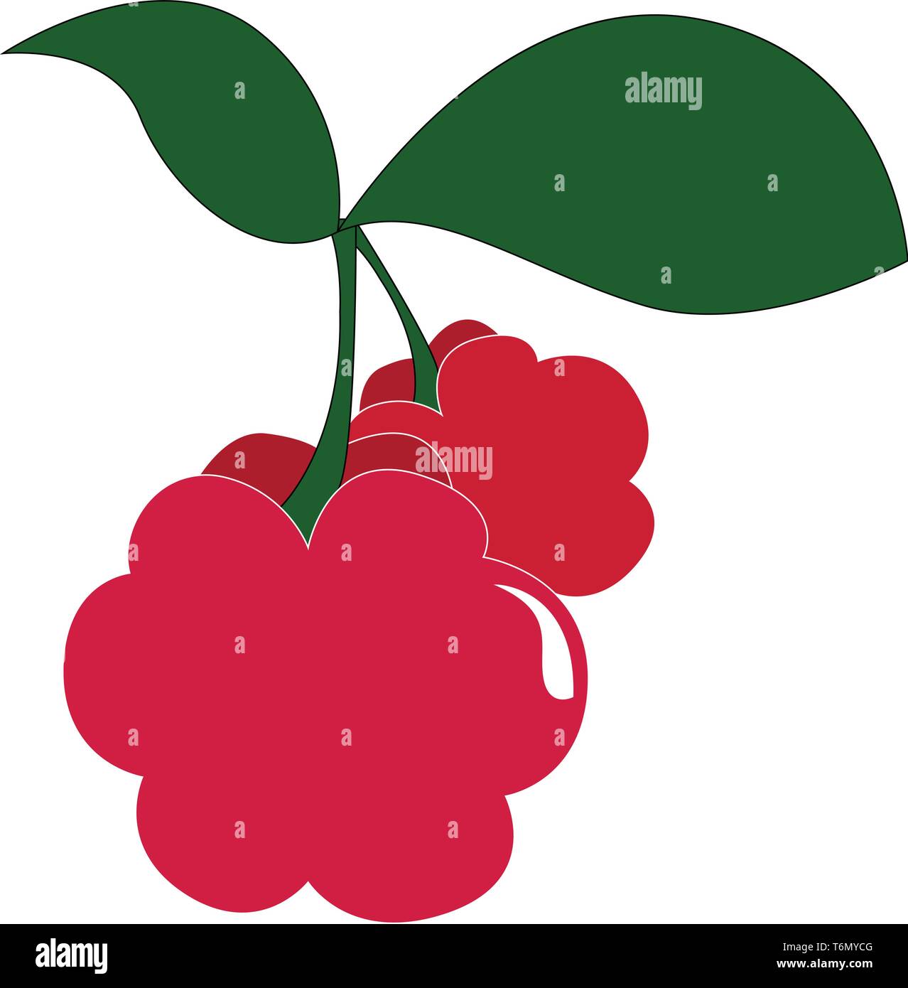 Red natural raspberries on Stock Vector Images - Alamy
