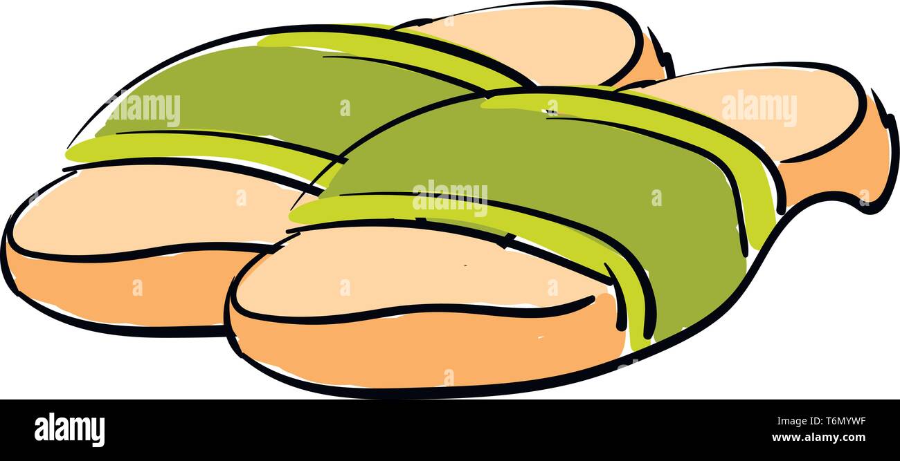 Slippers illustration vector on white background Stock Vector