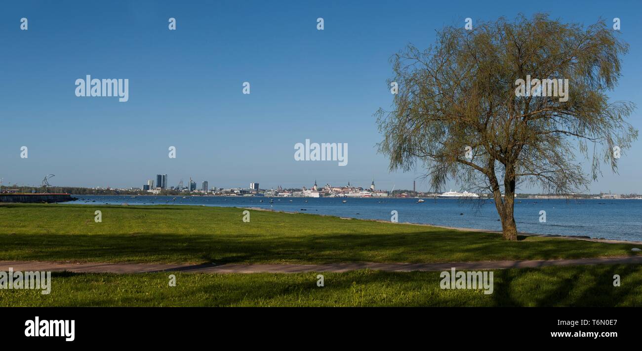 Tallinn from ship hi-res stock photography and images - Alamy
