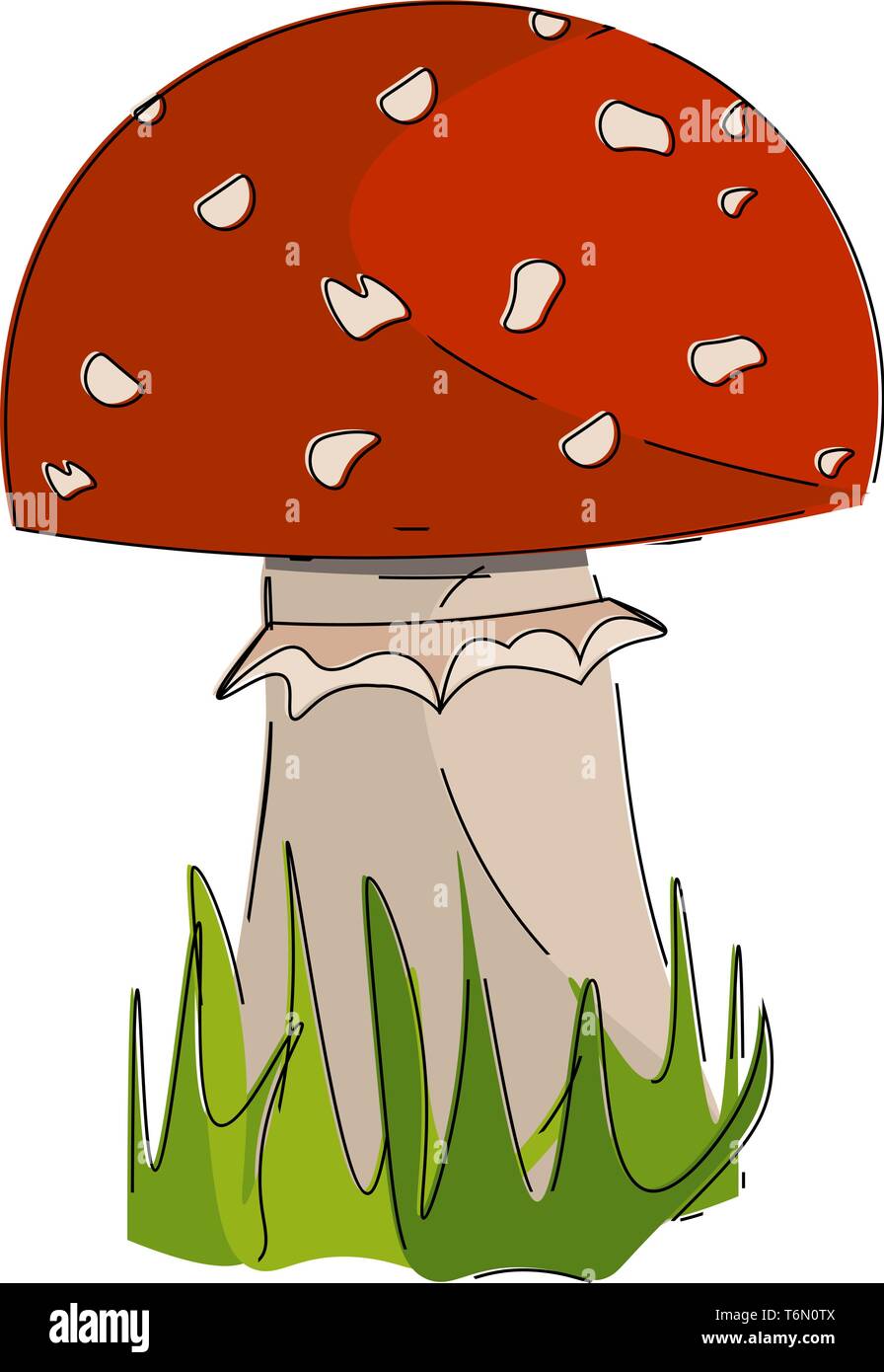 A picture of mushroom in red color vector color drawing or illustration Stock Vector