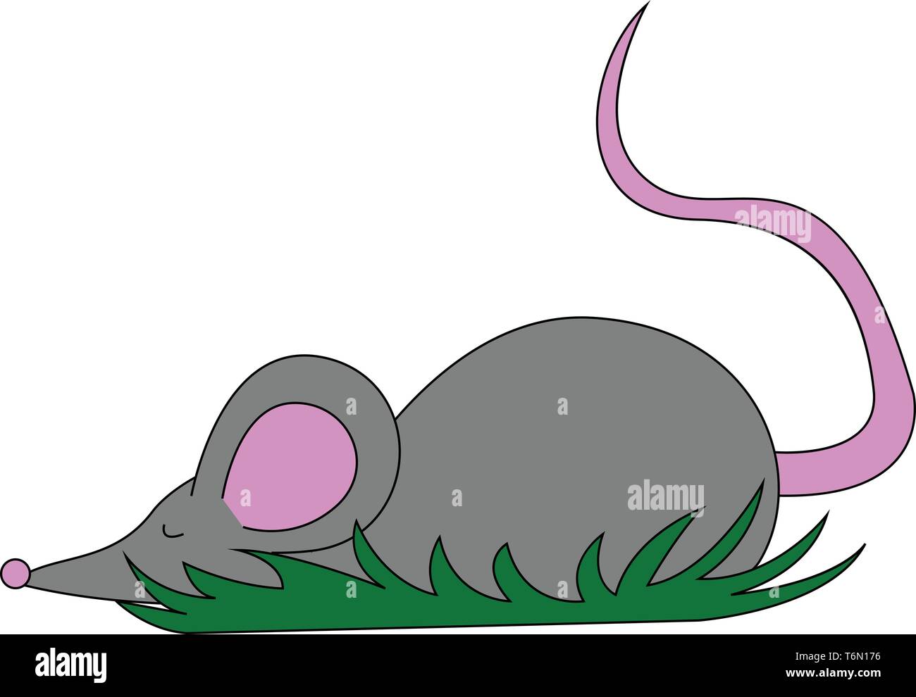 Cartoon grey mouse lying on the surface with eyes has a pointed snout  black nose  large pink ears  and a long black tail  vector  color drawing or il Stock Vector