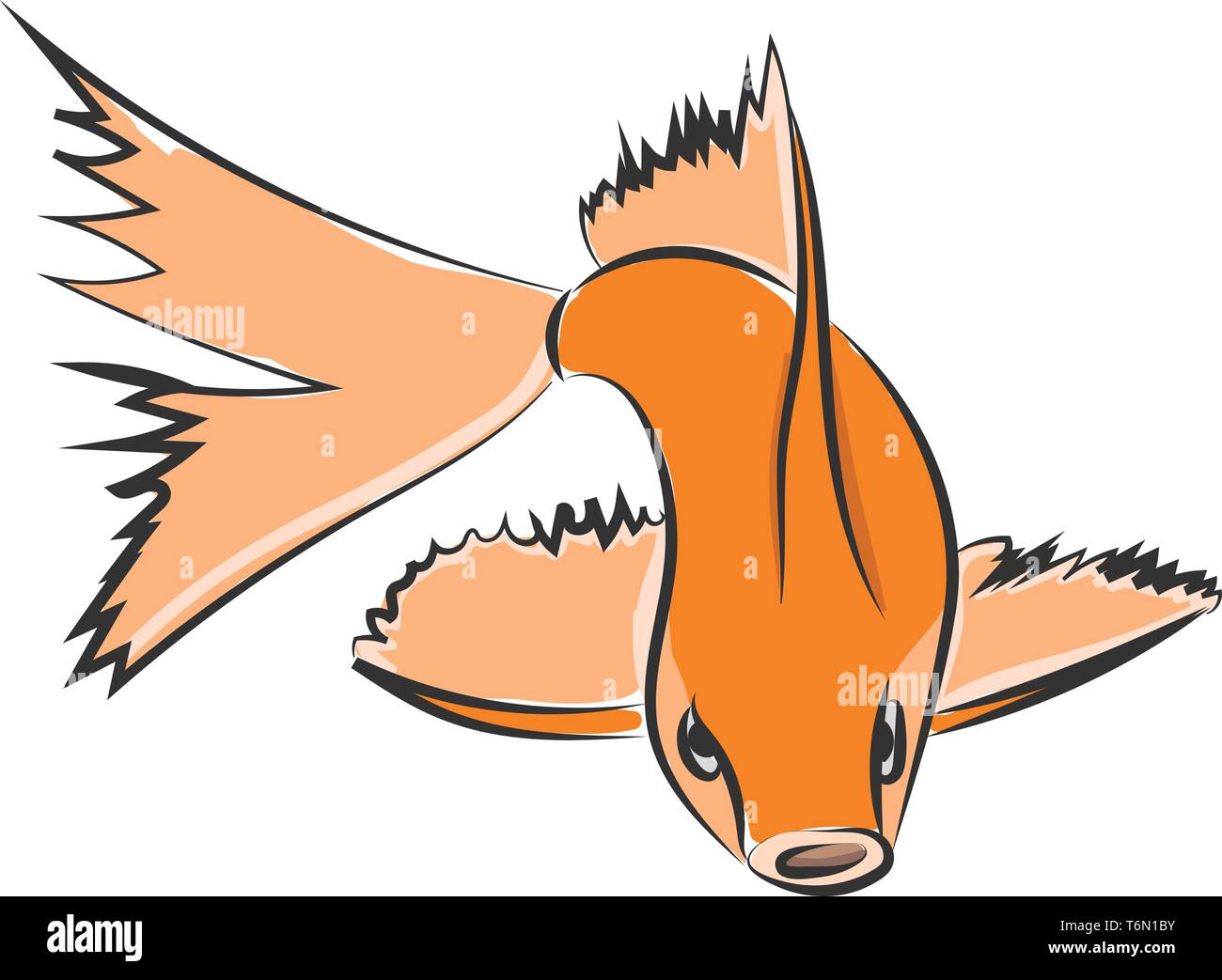 Drawing of an orange fish with a streamlined body  forked tail  saw-like fins  set on isolated white background  viewed from the front  vector  color  Stock Vector
