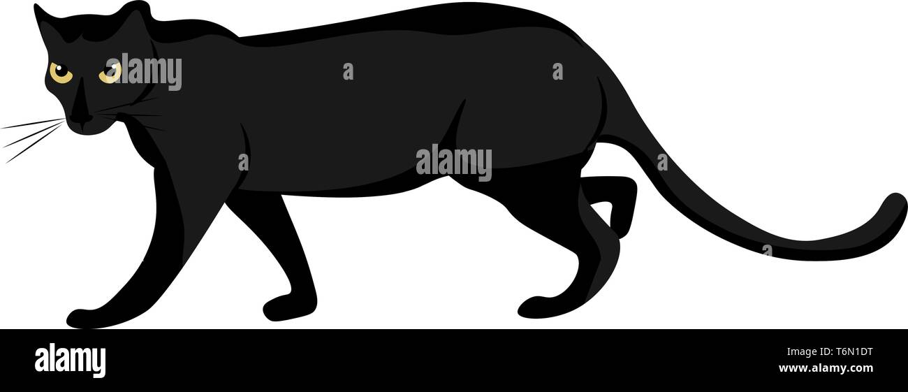 Cartoon of a large wild black cat with short legs  long body  a big skull  florescent eyes  whiskers  and a long tail is walking  vector  color drawin Stock Vector