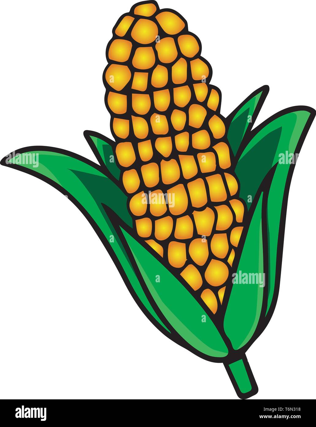 Corn drawing Stock Vector Images Alamy