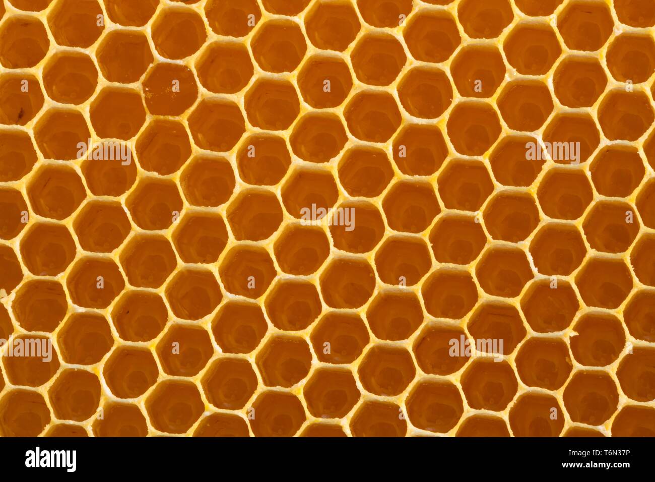 Honeycomb patterns hi-res stock photography and images - Alamy