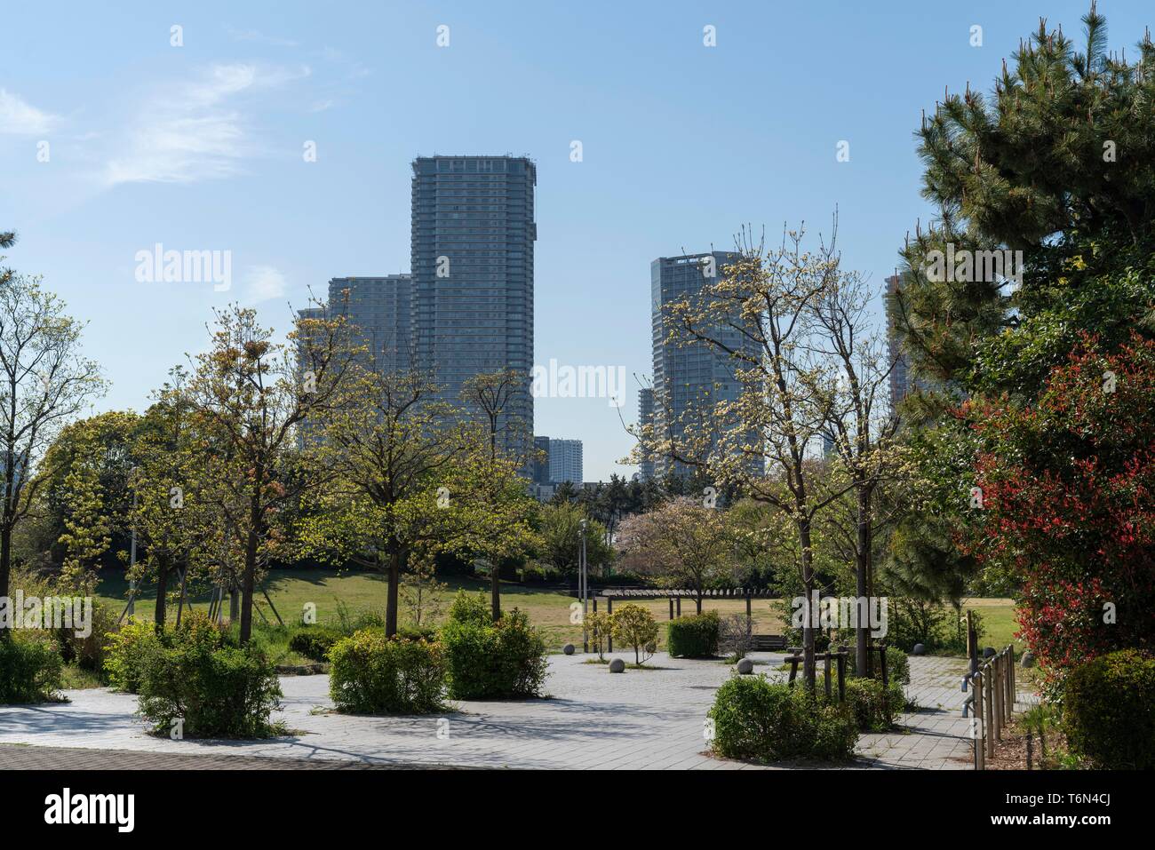 Tatsumi no Mori Green Park, Koto-Ku, Tokyo, Japan Stock Photo