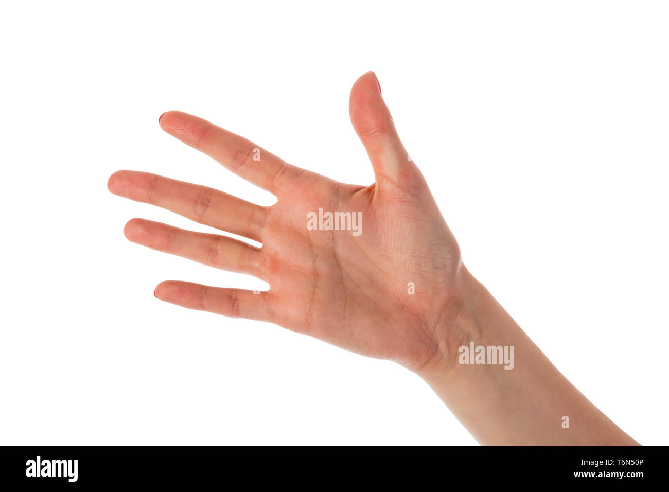 Female hand five fingers hi-res stock photography and images - Alamy