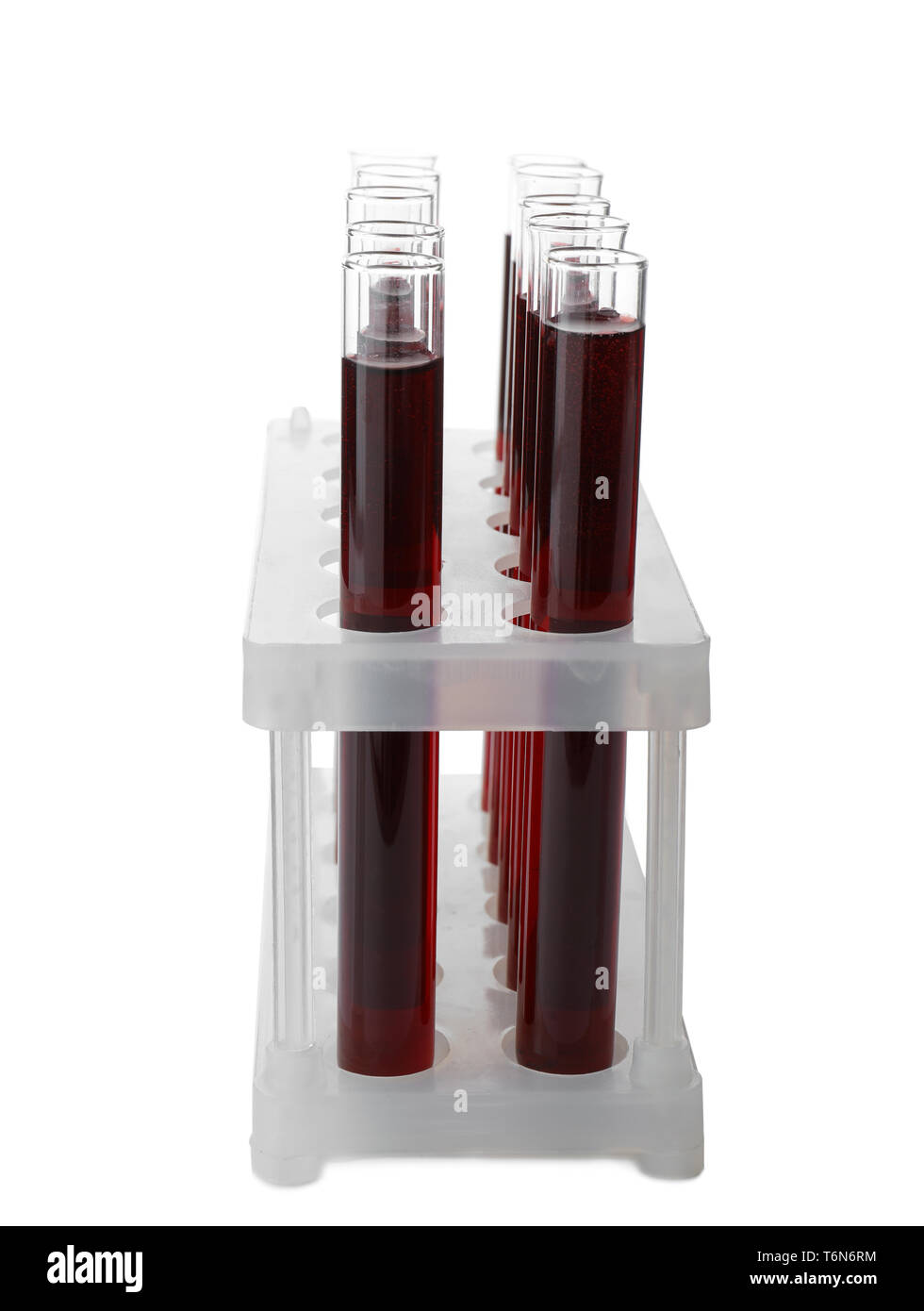 Test tubes with blood samples in holder on white background Stock Photo ...