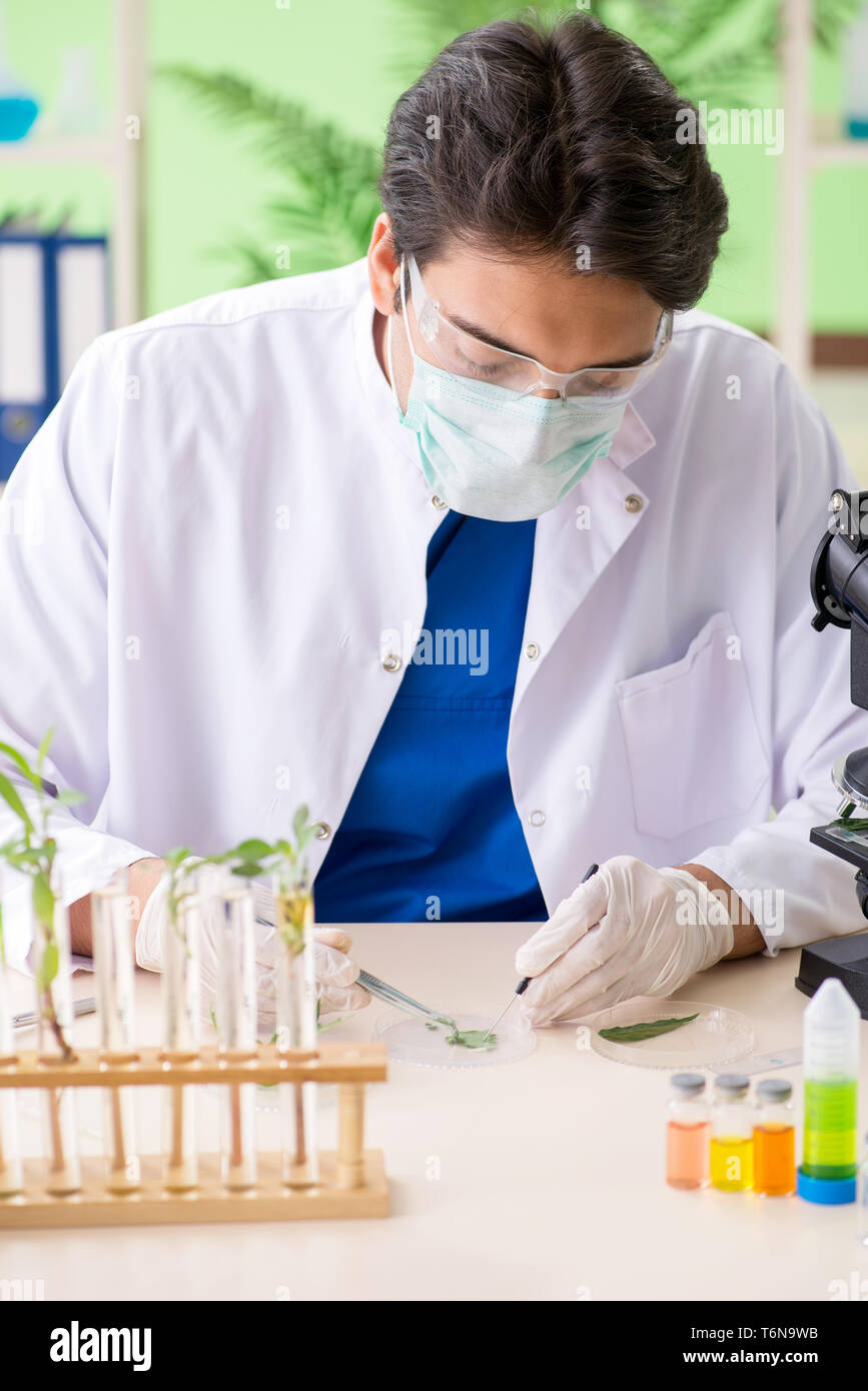 The young biotechnology scientist chemist working in lab Stock Photo