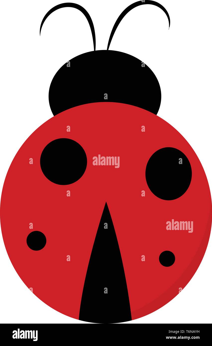 A cute ladybug in red and black color in back pose vector color drawing ...