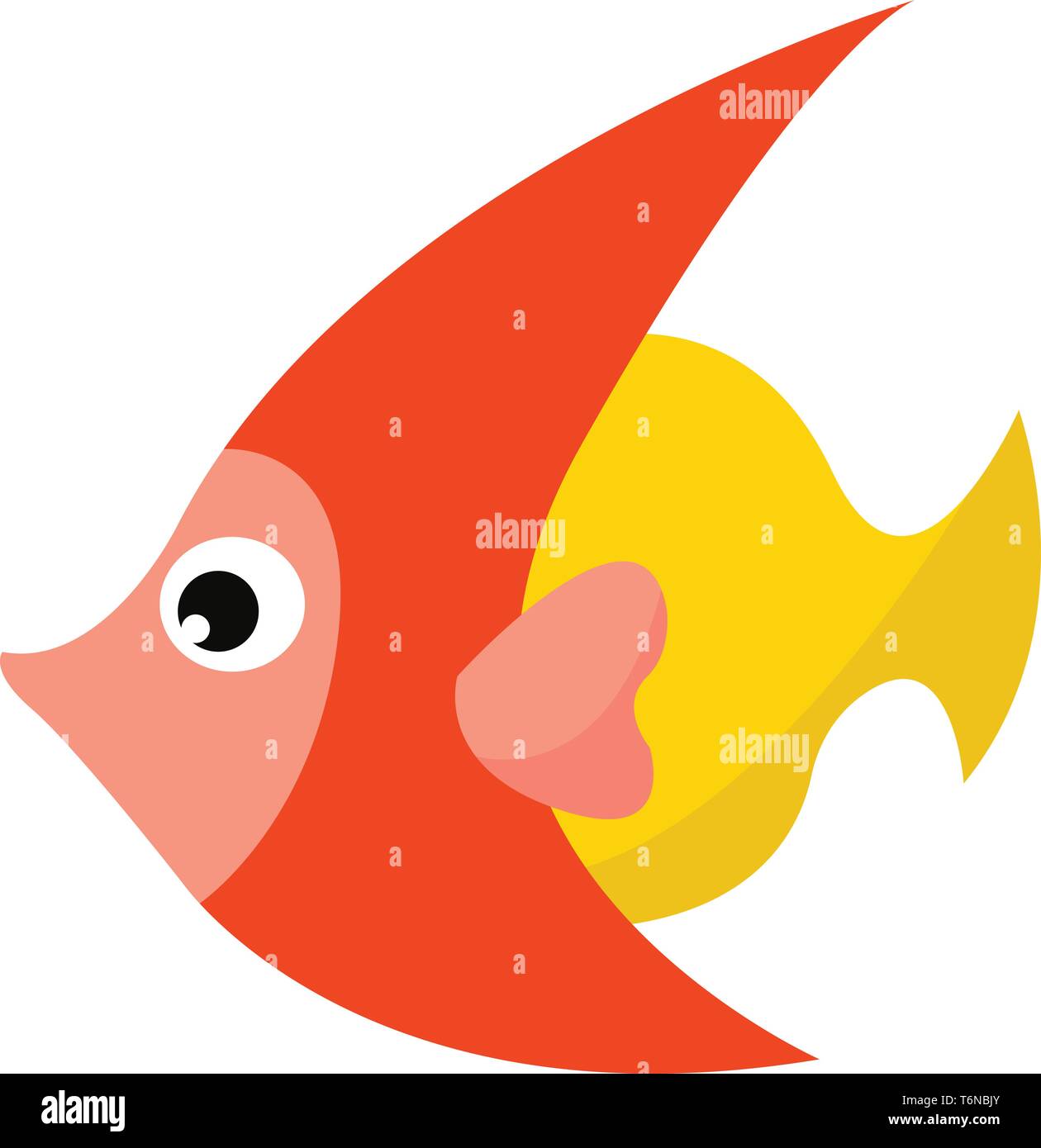 A colorful fish in orange and yellow with long tails vector color drawing  or illustration Stock Vector Image & Art - Alamy
