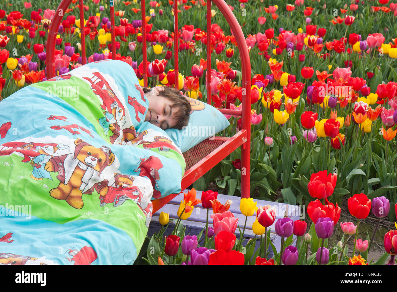 Woman sleeping between many beautiful tulips Stock Photo
