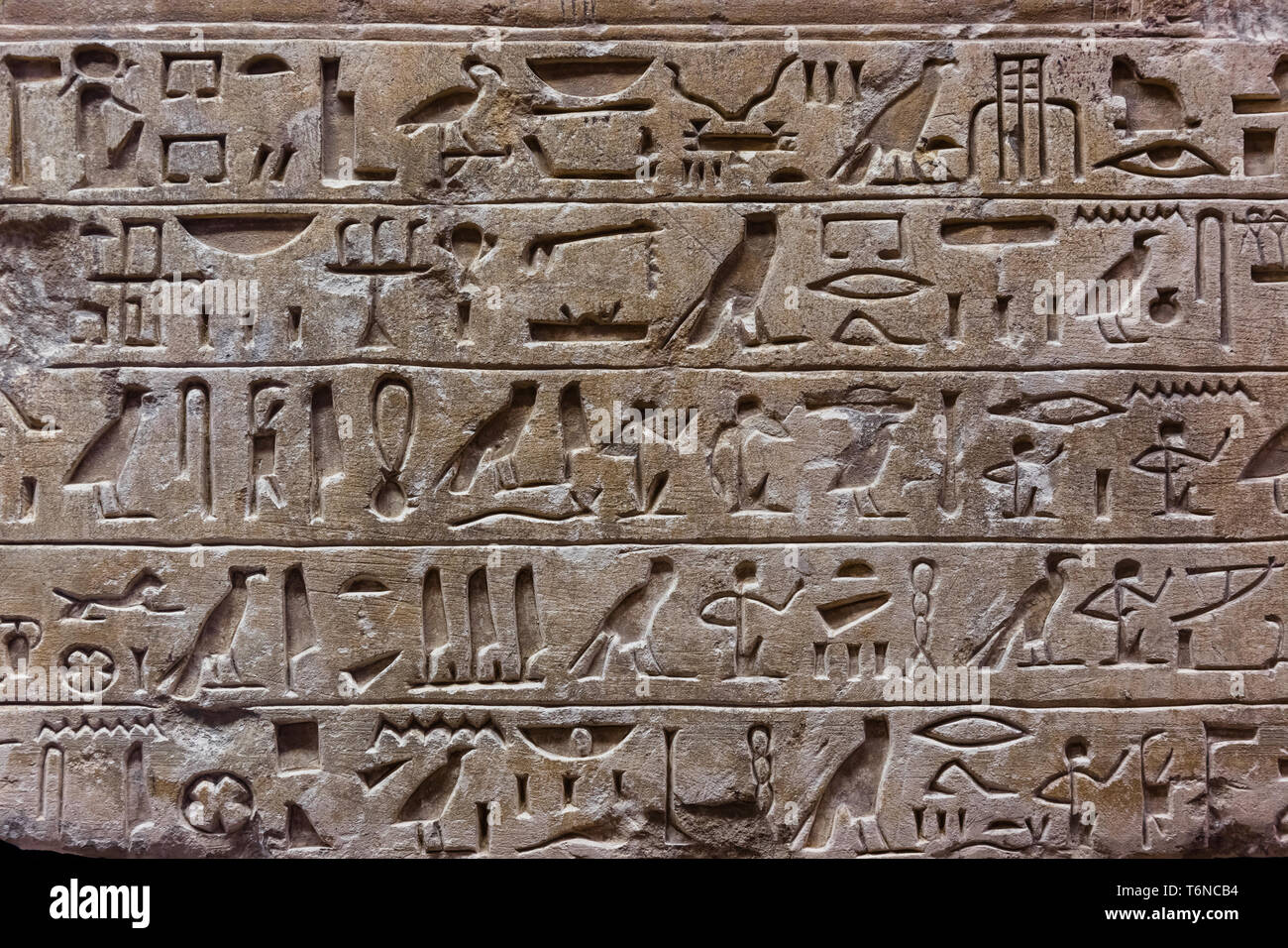 Old egypt scriptures background Stock Photo