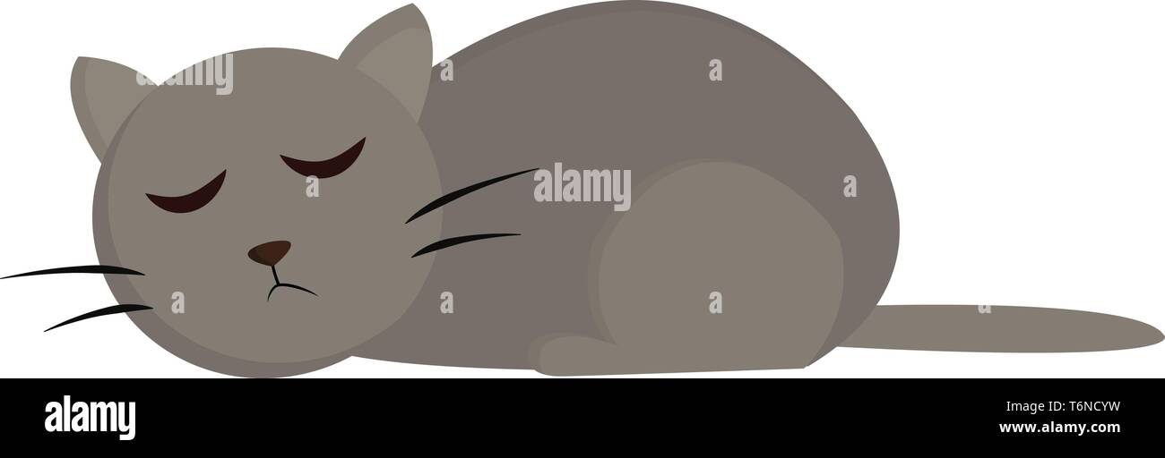A Cute Fat Cat In Grey Color Which Is Sleeping Vector Color Drawing Or  Illustration Stock Vector Image & Art - Alamy