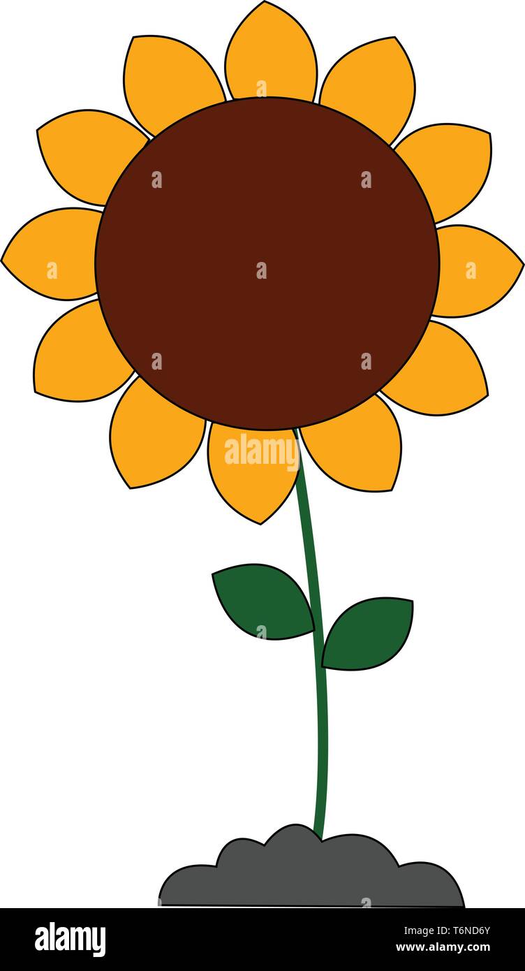 Featured image of post Sunflower Plant Images For Drawing : I love sunflowers, they are such happy plants!
