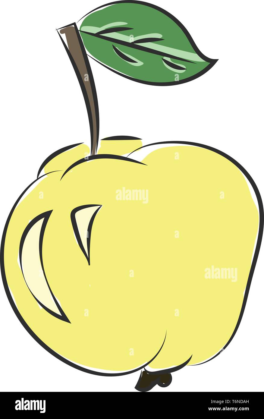 A delicious yellow apple brought fresh from the tree vector color drawing or illustration Stock Vector
