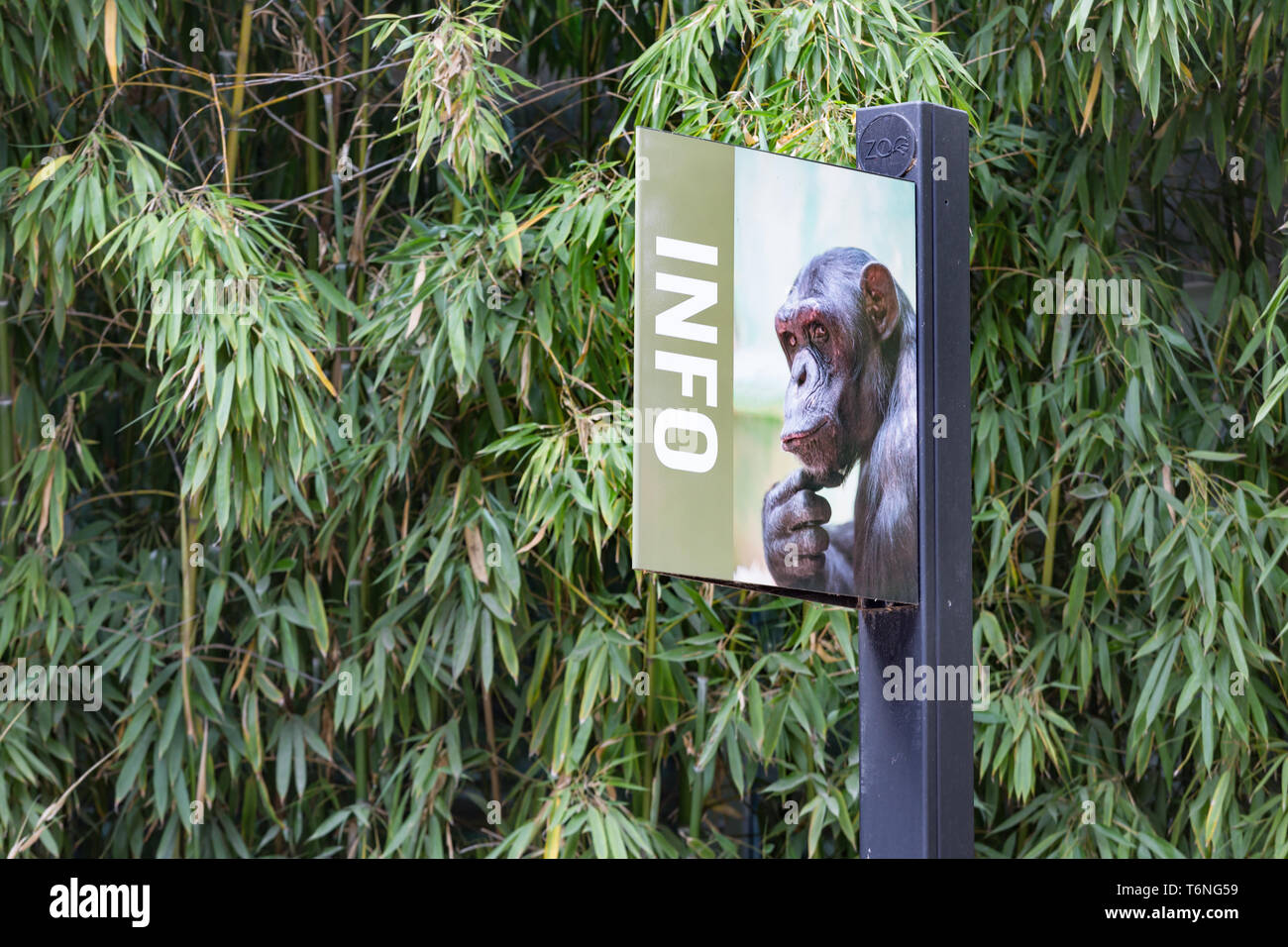 Signpost to the apes Stock Photo