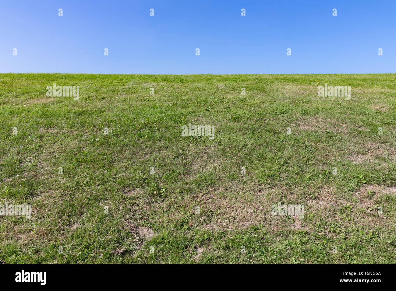 Nature background, green grass with blue sky Stock Photo - Alamy