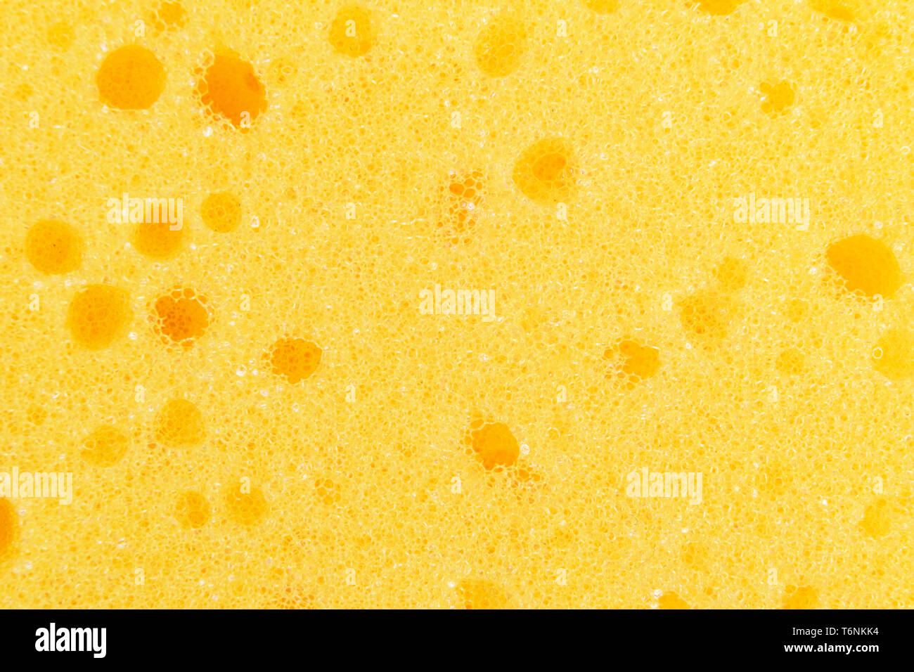 Yellow sponges stock image. Image of textured, pores - 30249997