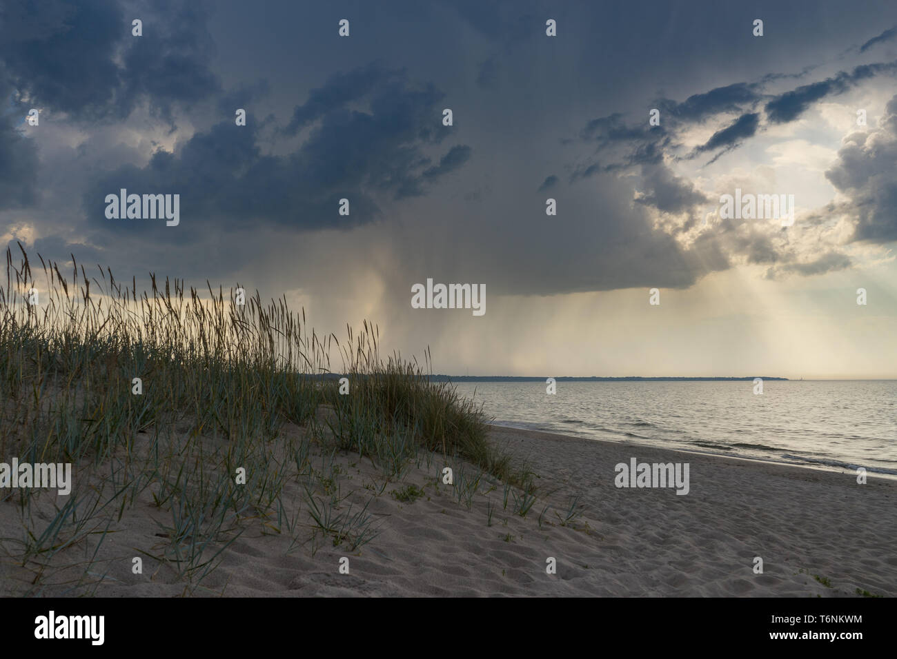 Wild sandy beach against sea and dramatic stormy clouds Stock Photo