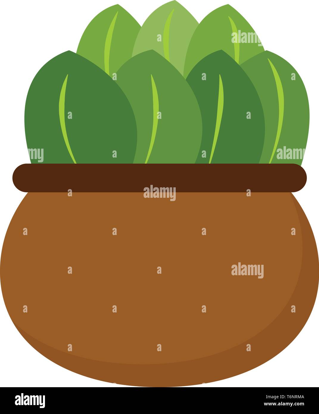 Clipart of a green plant with oval-shaped leaves and yellow margins potted on a brown earthen pot  vector  color drawing or illustration Stock Vector