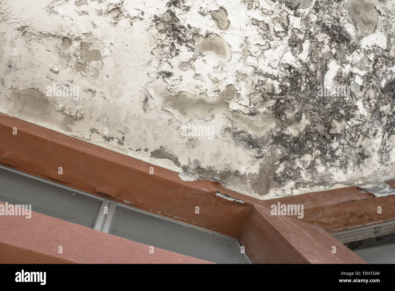 Effect of humidity on an old wall Stock Photo