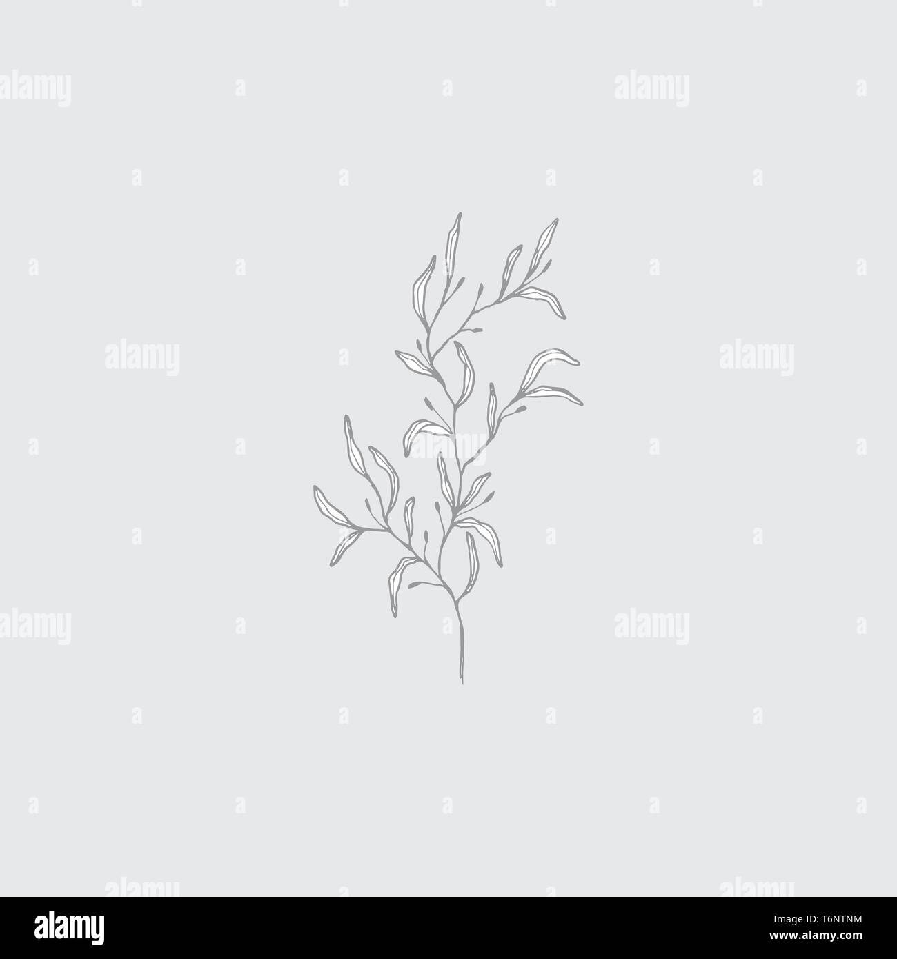 Lineart Flowers Stock Photos Lineart Flowers Stock Images