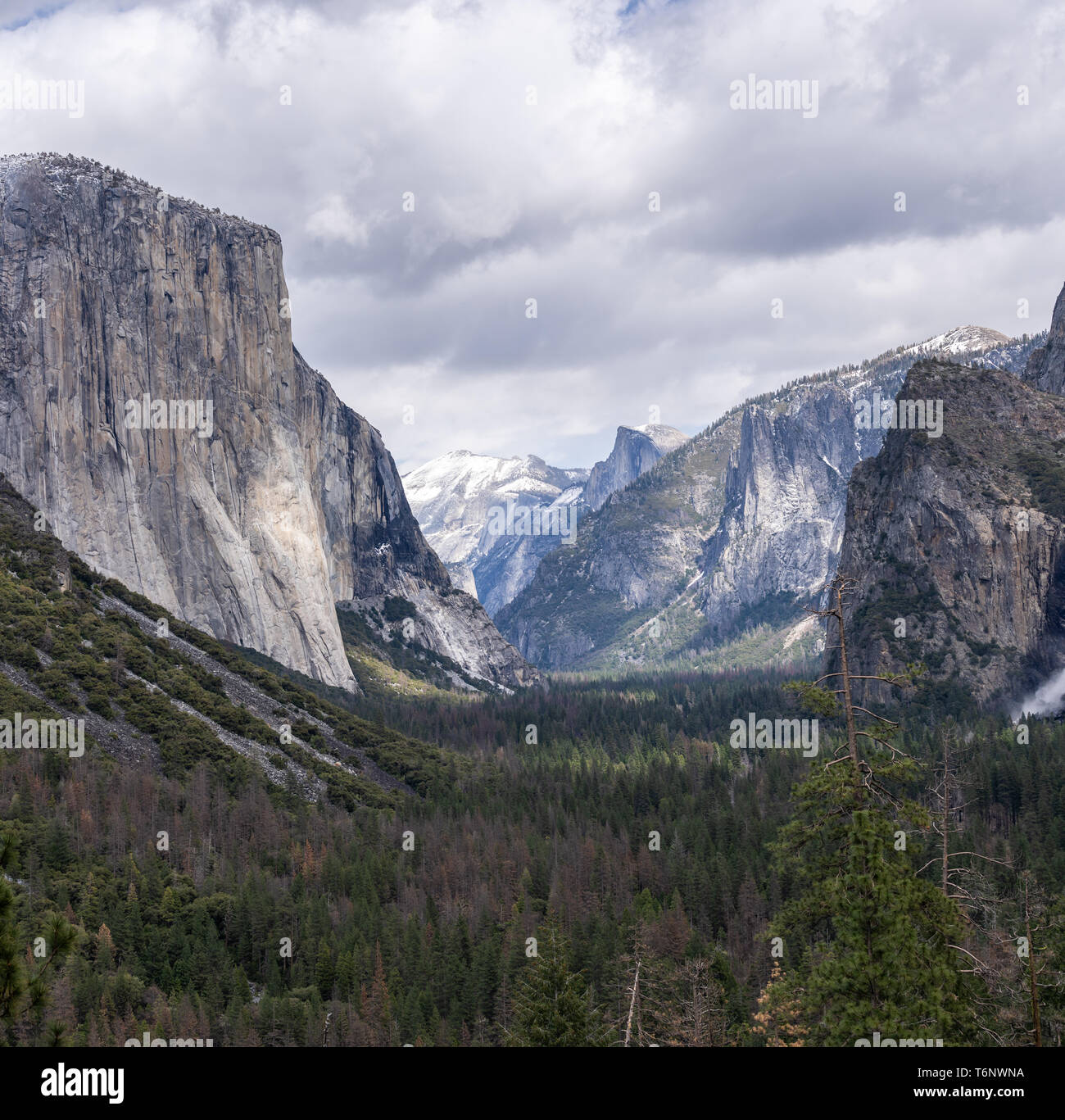 Yosemite national Park Stock Photo