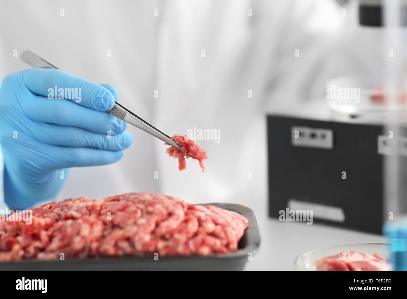 Scientist examining forcemeat in laboratory Stock Photo