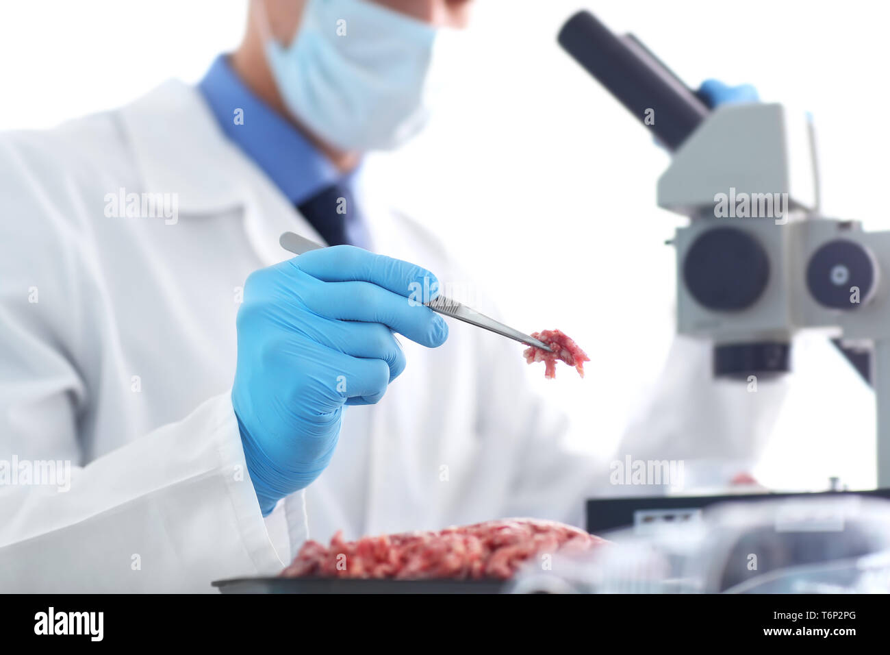 Scientist examining forcemeat in laboratory Stock Photo