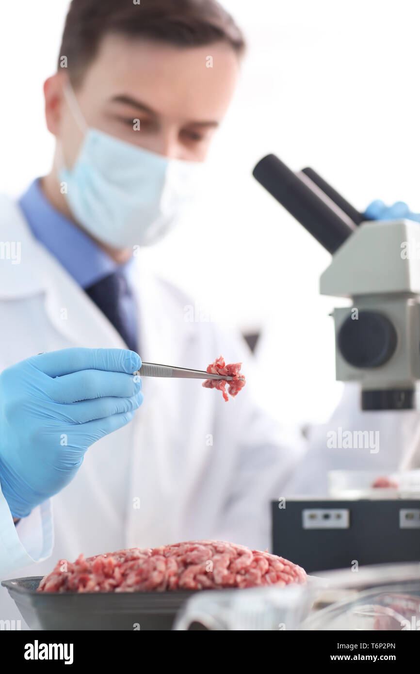 Scientist examining forcemeat in laboratory Stock Photo