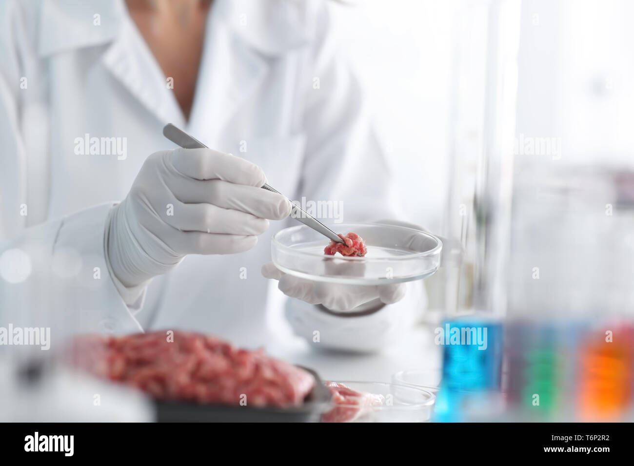 Scientist examining forcemeat in laboratory Stock Photo