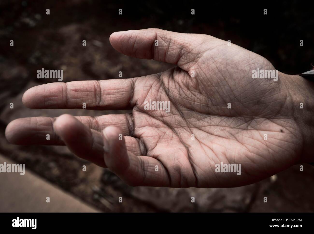 Open, begging, hand of a woman, symbol picture poverty, USA Stock Photo