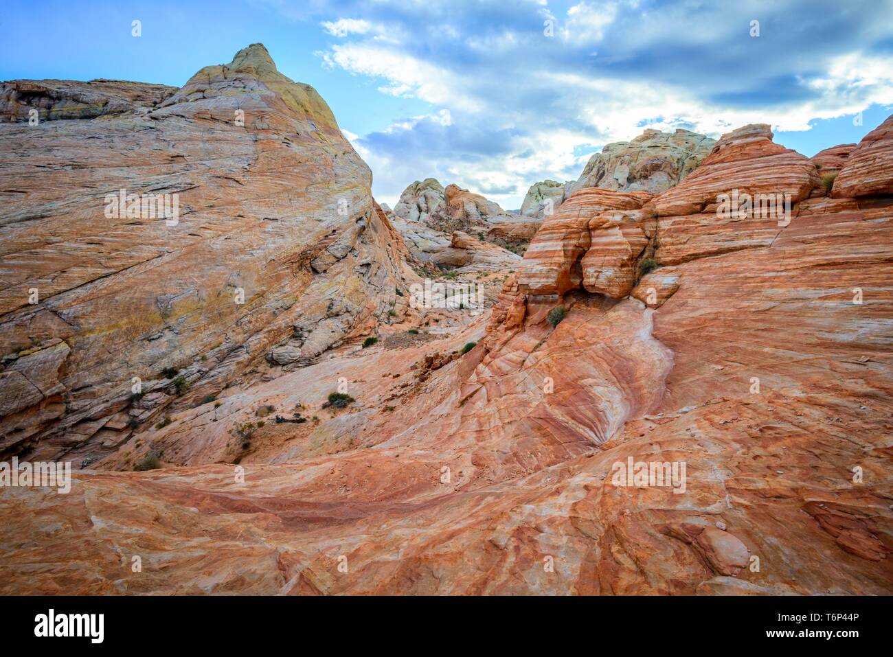 Colorful, Red Orange Rock Formations, Sandstone Rock, Hiking Trail, White Dome Trail, Valley of Fire State Park, Mojave Desert, Nevada, USA Stock Photo