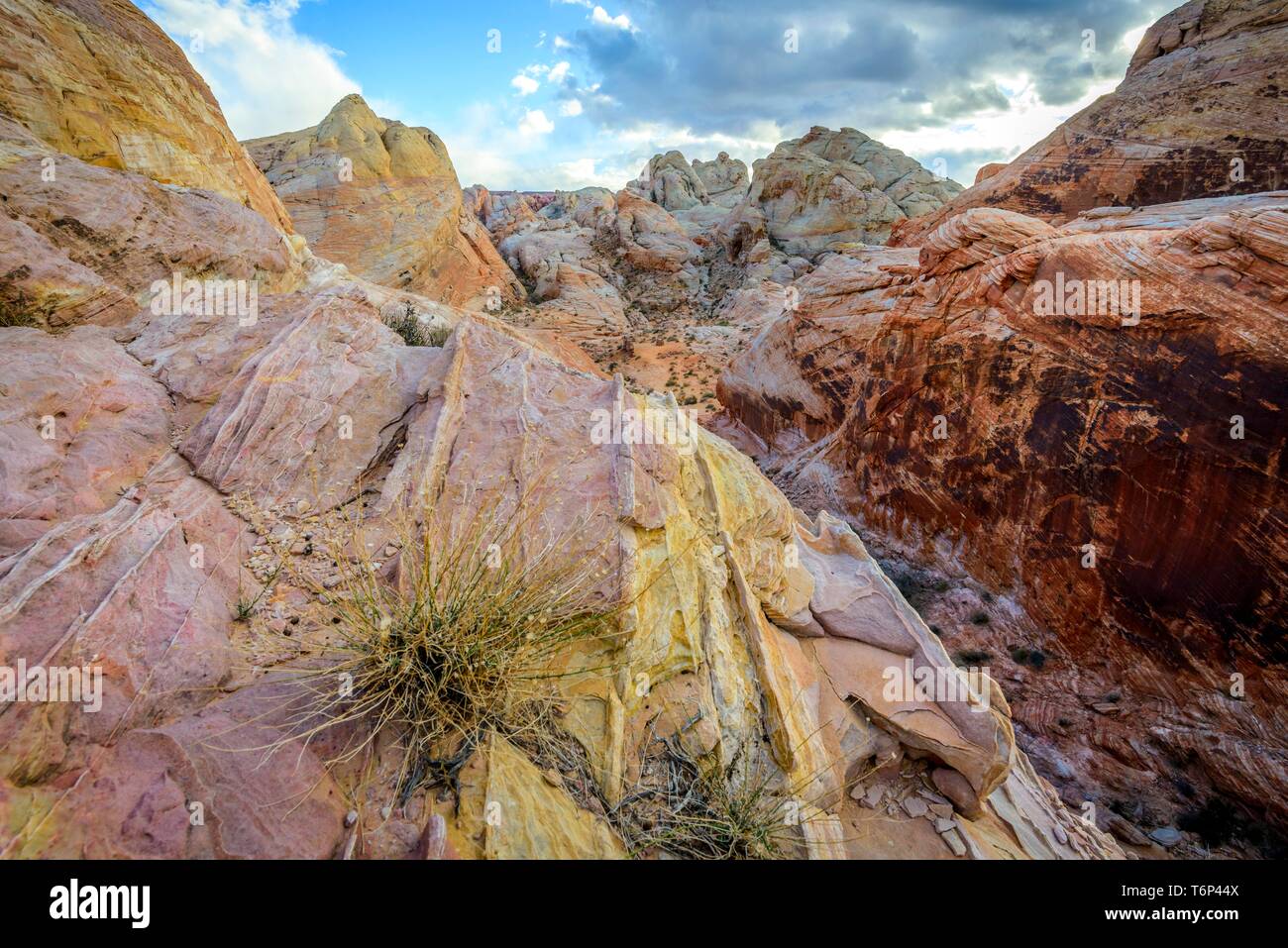 Colorful, Red Orange Rock Formations, Sandstone Rock, Hiking Trail, White Dome Trail, Valley of Fire State Park, Mojave Desert, Nevada, USA Stock Photo